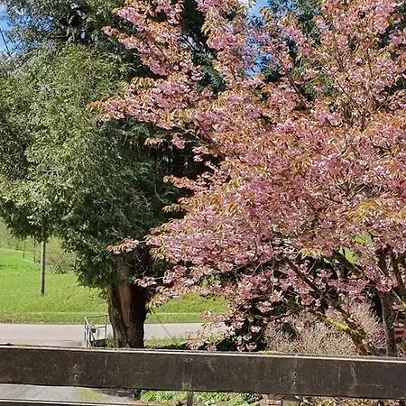 Schwarzwald Idyll Oberharmersbach