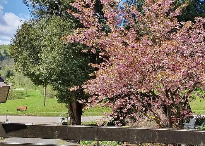 Schwarzwald Idyll Oberharmersbach
